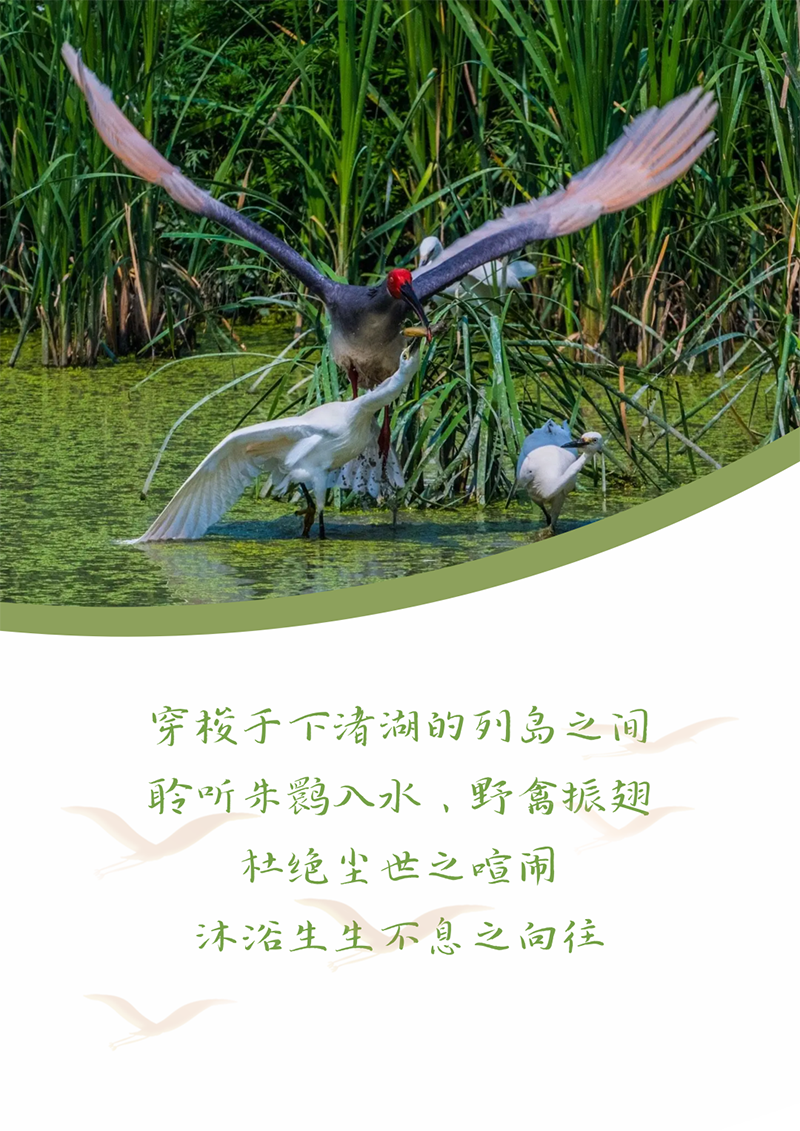 心心念廿 相伴恒峰g22 | 与德清相约 贺廿载诞辰